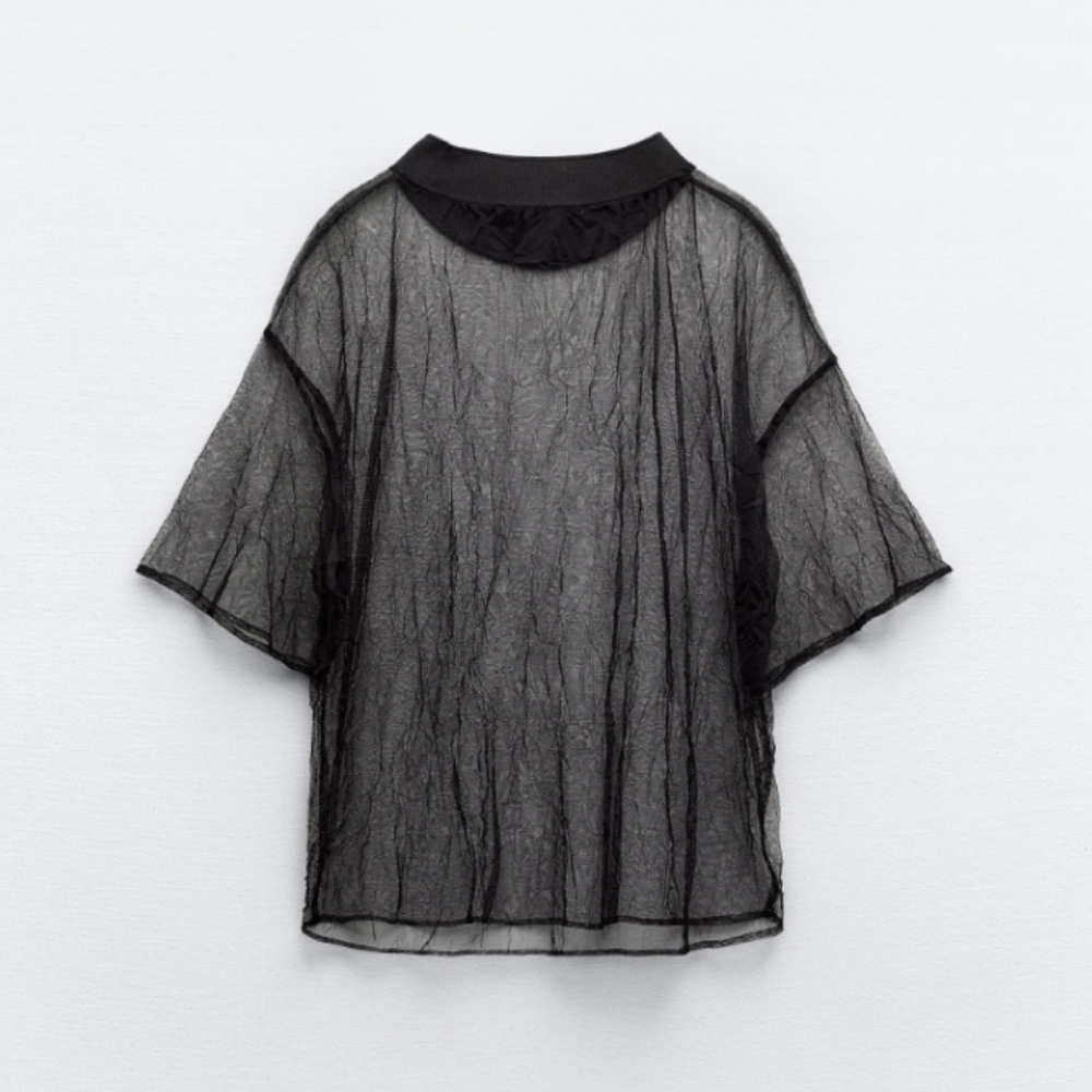 Zara Sheer Black Top